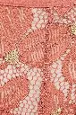 clovia-picture-low-waist-bikini-panty-in-coral-colour-lace-232892.webp